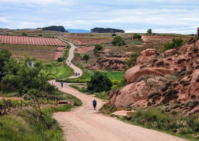 a long trail surrounded by hills of red earth and lush greens and many walkers on the trail